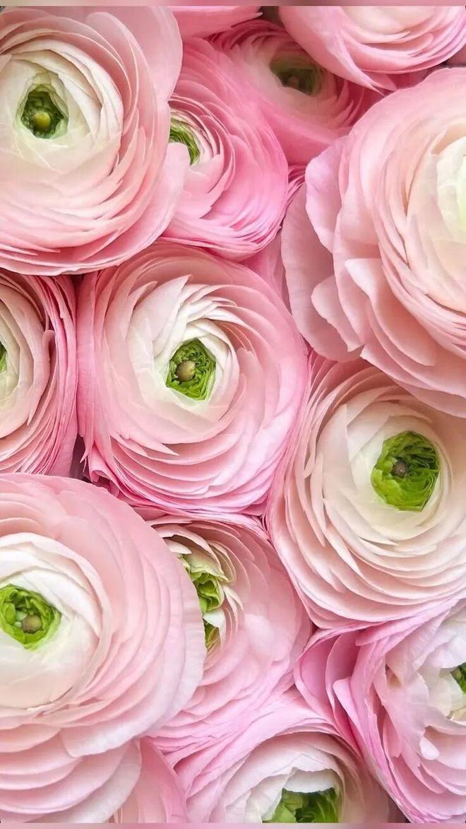 天顺娱乐官方：51岁周迅又穿成人间香奈儿，这个搭配思路确实好用