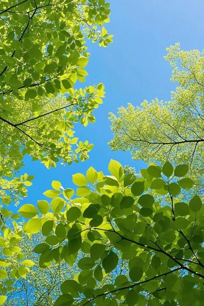 天顺娱乐官方：51岁周迅又穿成人间香奈儿，这个搭配思路确实好用