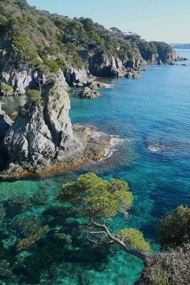 天顺娱乐官方：51岁周迅又穿成人间香奈儿，这个搭配思路确实好用